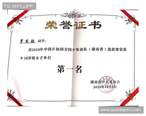 上海乒乓球队心理素质分析与提升策略探讨