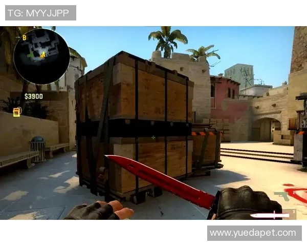 CSGO战术解析：深入探讨V5战队的进攻策略与执行技巧