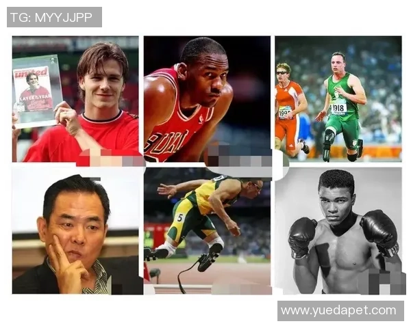 上海攀岩队在全国个人能力排行榜中荣登第九名展现实力与潜力