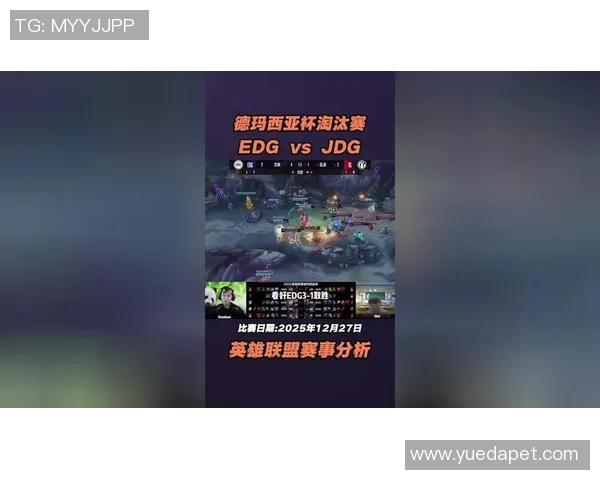 数据分析：深入探讨EDG战队近期状态与表现的全面评估与解读