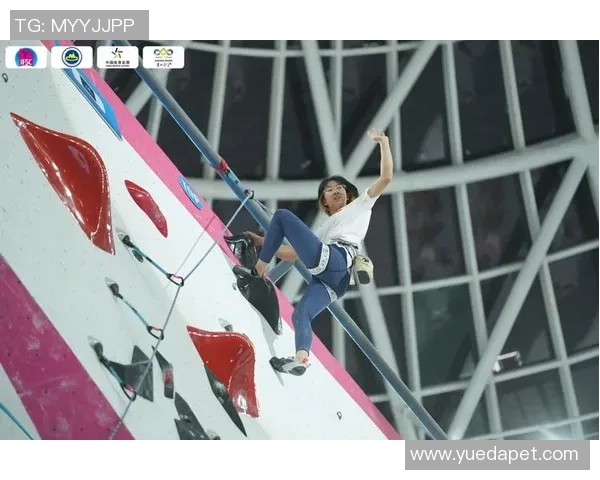 杭州攀岩队在世界滑板锦标赛中的成长与蜕变之路揭秘