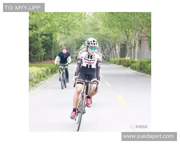 杭州篮球队的耐力揭秘：从训练到比赛的全景探索与分析