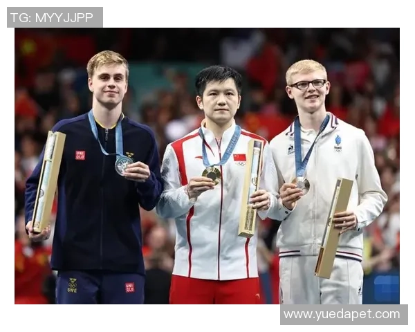 武汉乒乓球队与北京乒乓球队赛后复盘分析力量对比与战术探讨