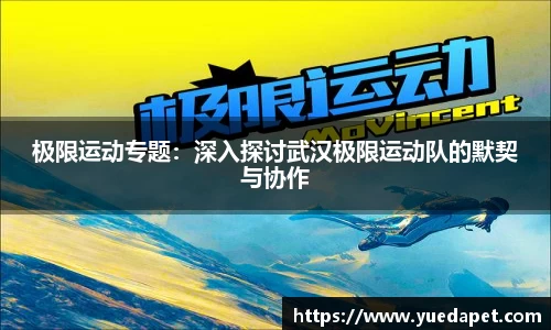 OD体育官方网站